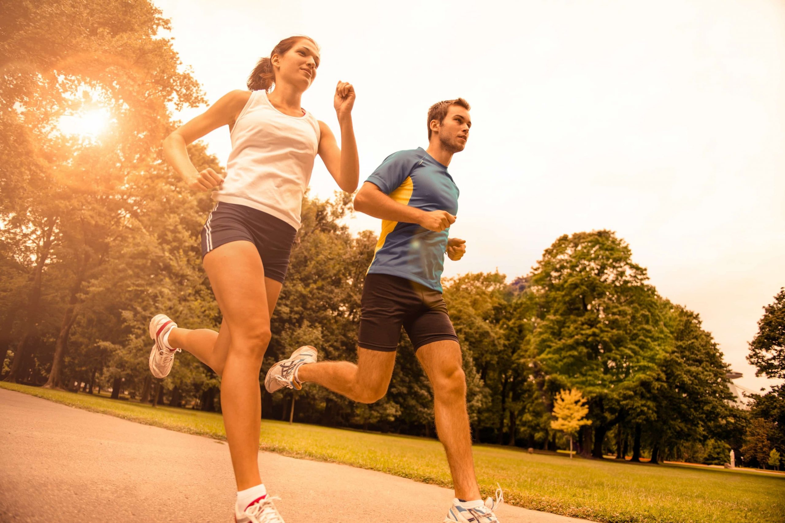 Alimentación balanceada rica en fitonutrientes